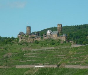 Burg Thurandt wurde um 1200 nach der Kreuzfahrerburg Toron im Libanon benannt